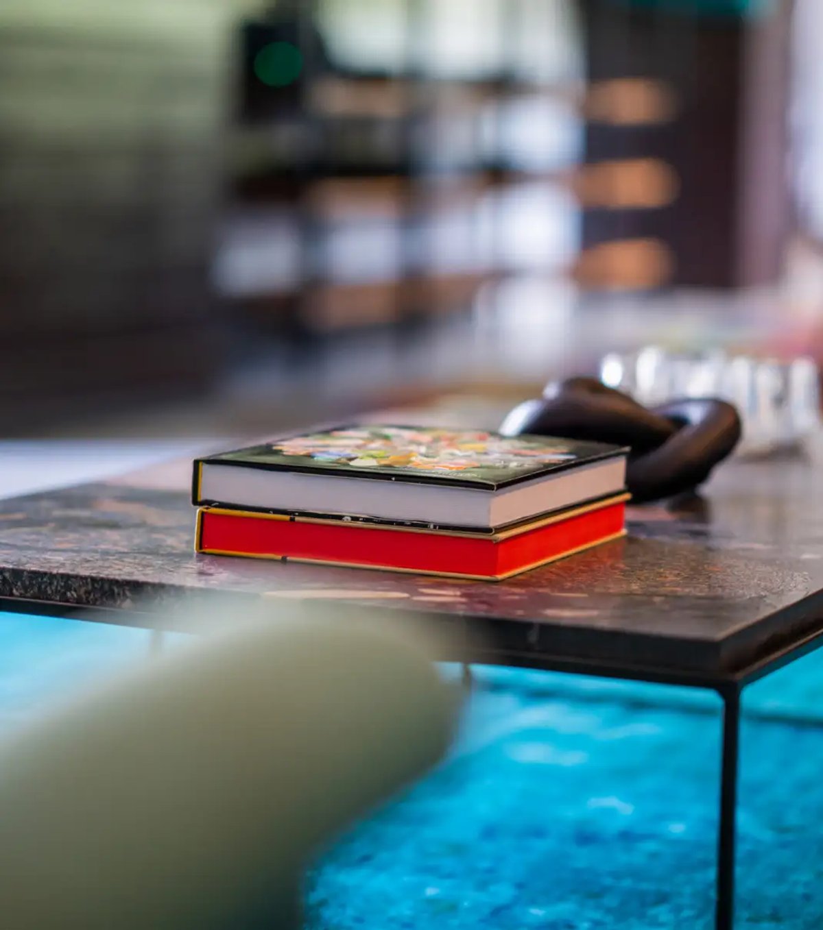 A close-up view of two books resting on a stylish lounge table, with a blurred foreground accentuating the setting. The background features a modern decor typical of a safari lodge.