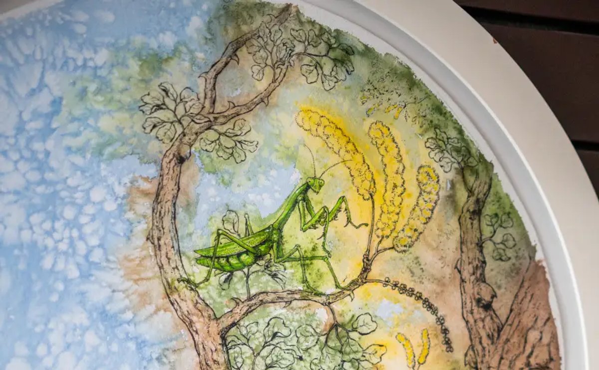 The image features a beautifully illustrated mantis sitting among branches, surrounded by a vibrant blue sky and various green leaves. The intricate details depict the natural setting in which the mantis resides.