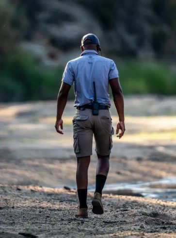 Story Car 02.Webp - Story Car 02