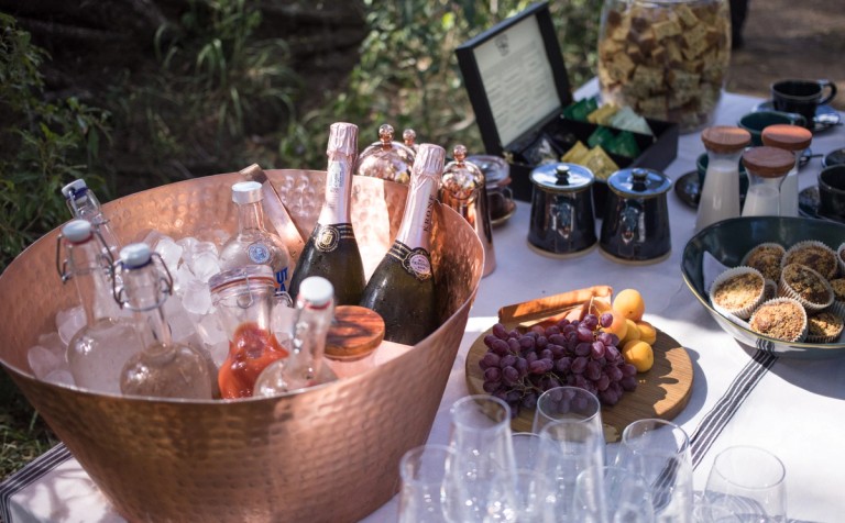 Silvan Safari Outdoor Dining Setup An elegant outdoor dining setup featuring a copper bowl filled with ice and various beverages, alongside a platter of grapes and baked goods. The atmosphere suggests a luxury safari experience.
