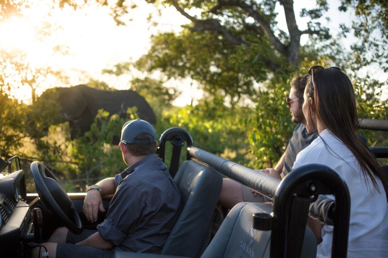 Guests in a safari vehicle are observing an elephant in the lush environment of Silvan Safari during sunset.