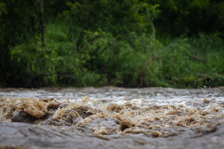 Mayeleti Rivers Flood Pulse The image shows a turbulent river with muddy water, surrounded by lush greenery, indicating the effects of flooding.