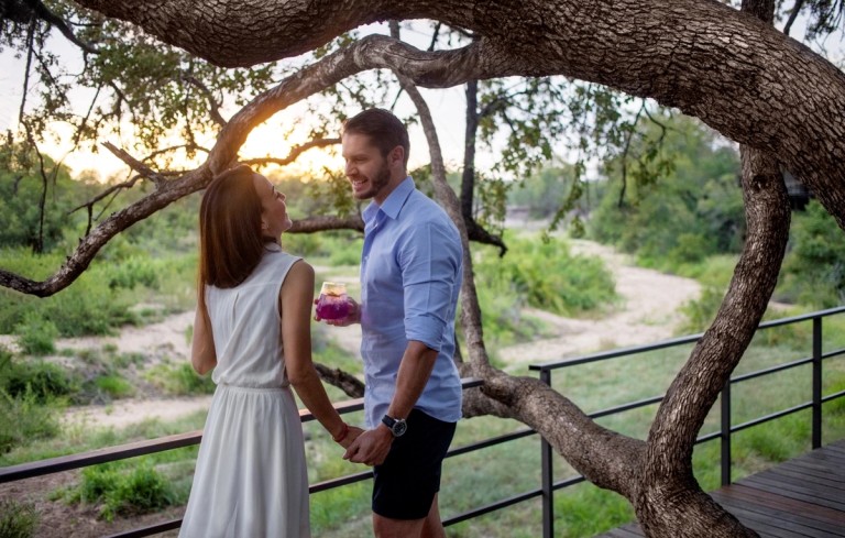 Romance Blooms Silvan Safari A couple enjoys a romantic moment together, holding hands and sharing a drink under the branches of a tree, with a picturesque sunset and lush greenery in the background.