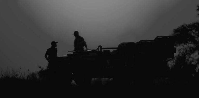 Silvan Safari Team Hero Image