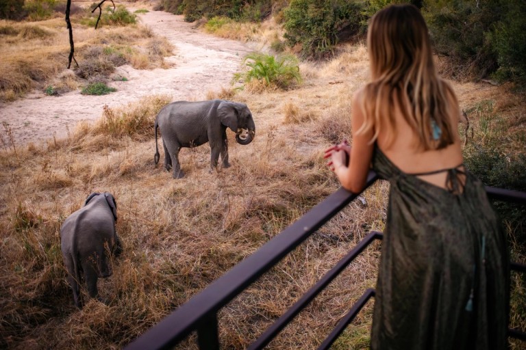 The Giants of the Sabi Sand