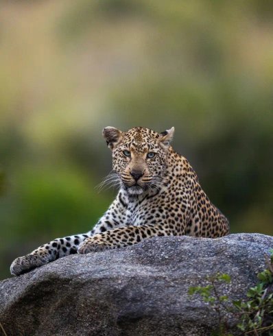 Story Car 03.Webp - Story Car 03