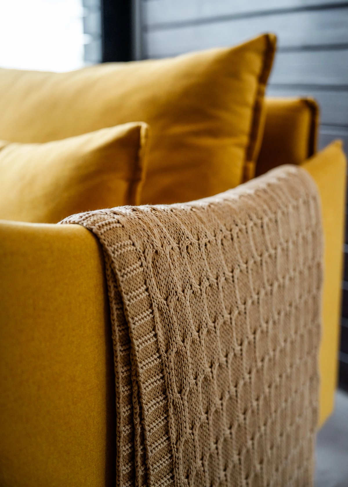 Cassia Suite