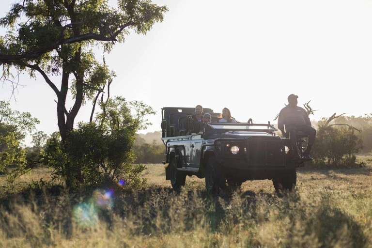 A scenic game drive during a golden hour, showcasing a safari vehicle with tourists enjoying the wildlife experience in the open grasslands.