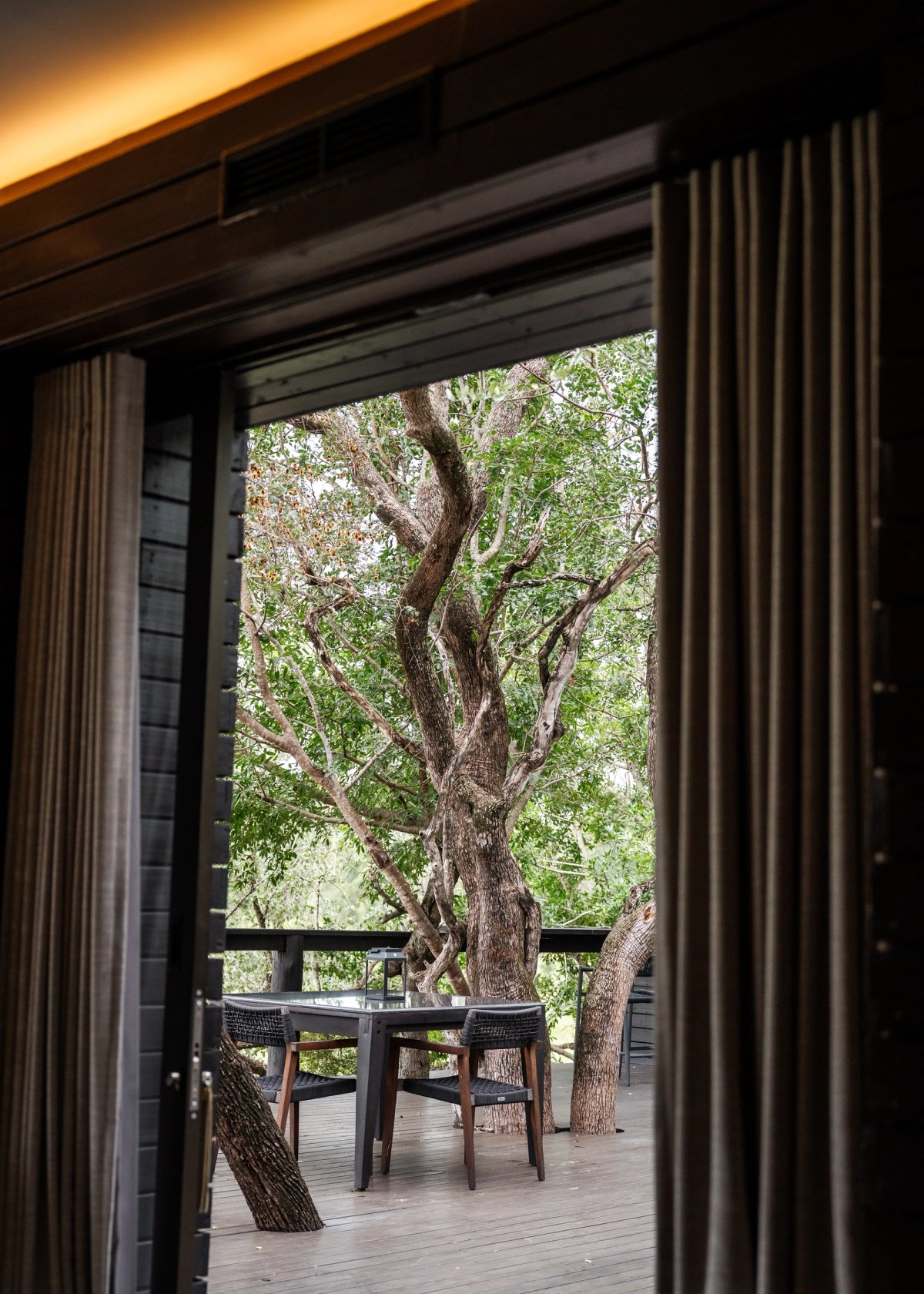 Cassia Suite
