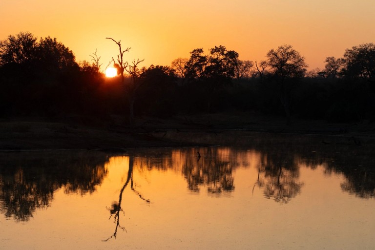 Silvan Safari Sunset Reflection A stunning sunset reflecting off a tranquil water body at Silvan Safari, framed by silhouettes of trees and dried branches. The warm orange hues create a serene atmosphere.