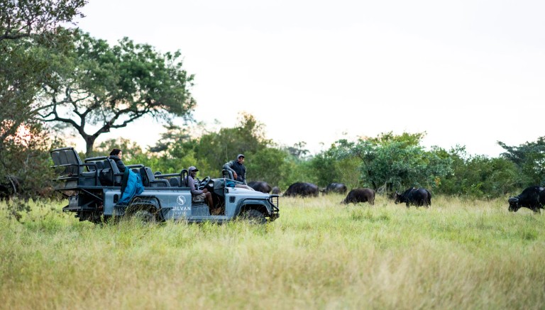 Silvan Safari Lodge