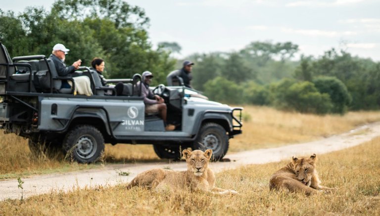 The image depicts two lionesses resting in a grassy area while a safari vehicle from Silvan Safari is parked nearby with guests observing.