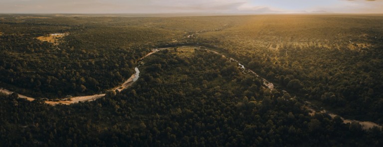 An aerial view of the lush landscape at Silvan Safari, showcasing dense greenery and winding rivers beneath a golden sunset.