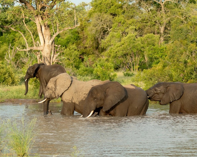 What Good Rains Set in Motion – Part 1